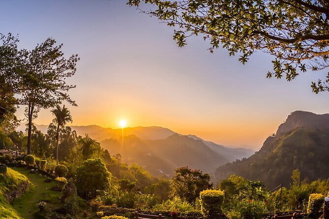 Day Excursion to Lipton Seat & Dambatenne Tea Factory from Ella - Who Would Love This Tour?