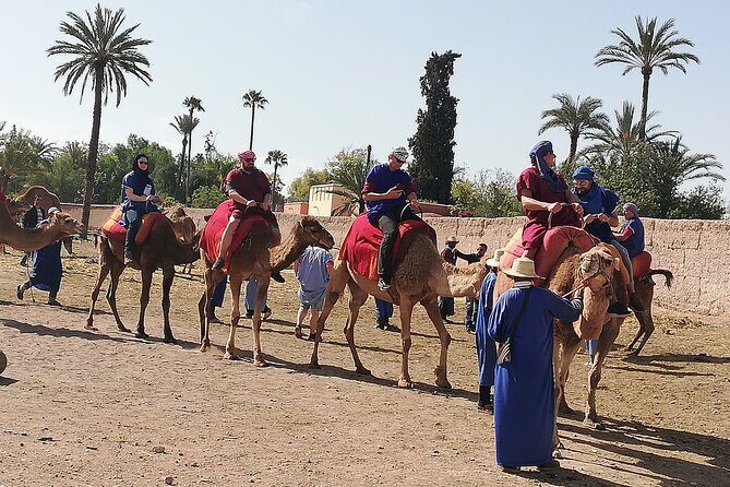 Day Excursion To Ourika Valley and High Atlas From Marrakech: Shared - Considerations to Keep in Mind