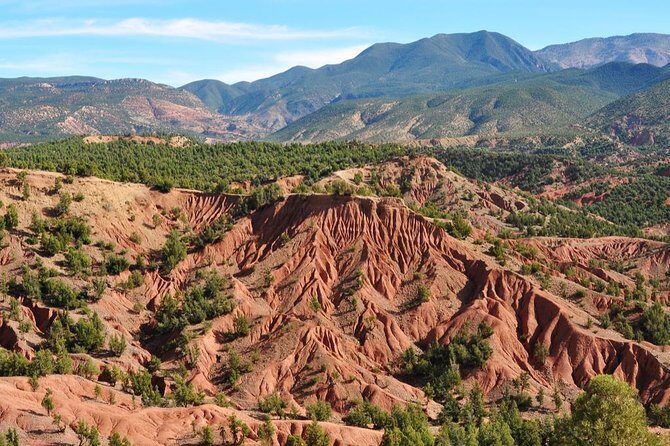 Day Excursion To Ourika Valley and High Atlas From Marrakech: Shared - Who Is This Tour Best For?