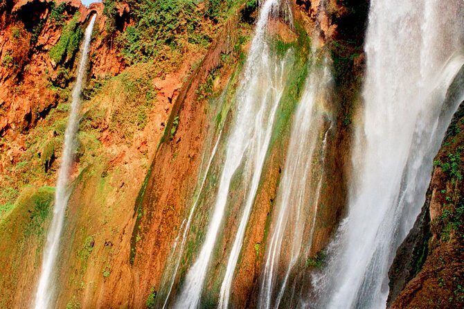 Day Excursion To Ouzoud Waterfall from Marrakech: Private - Who Should Book This Tour?