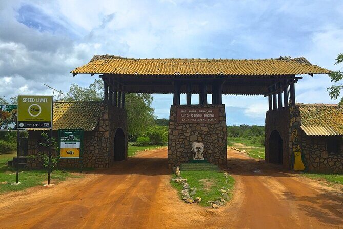 Day Excursion To Yala National Park From Negombo - Post-Visit and Drop-Off: Comfortable Return