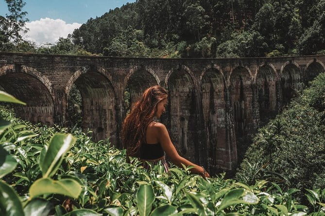 Day Excursions to Horton Plains & Local Train Experience from Ella - Frequently Asked Questions