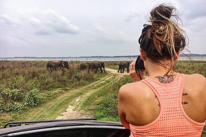 Day Excursions to Minneriya National Park Safari From Negombo - Final Thoughts on Value