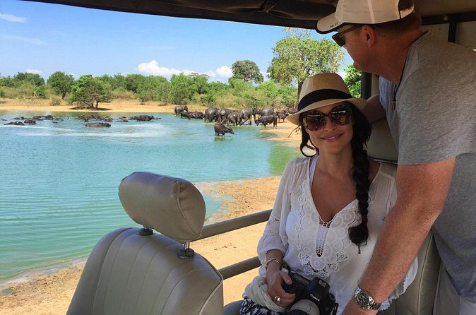 Day Excursions to Udawalawe From Bentota - Why This Tour Works Well