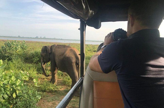 Day Excursions to Udawalawe From Bentota - Who Should Consider This Tour?