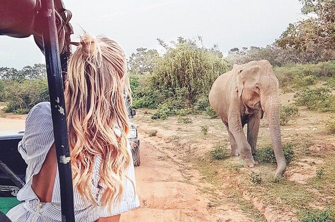 Day Excursions to Udawalawe From Wadduwa - Summary