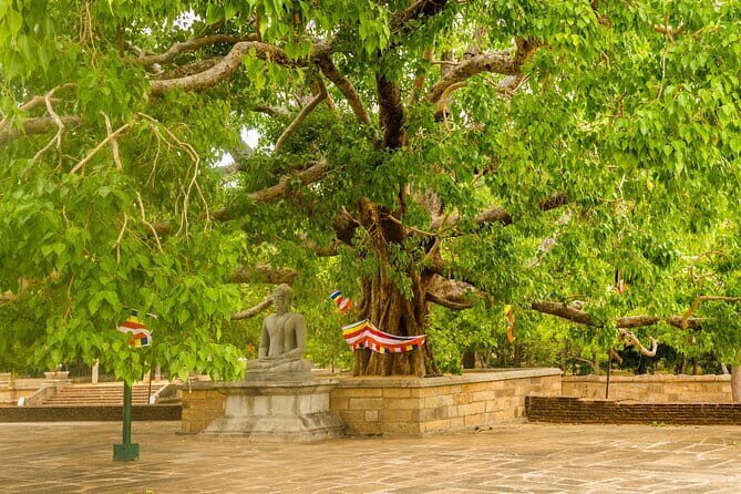 Day Excursions to UNESCO City ANURADHAPURA from Negombo - Rest of the Day and Return