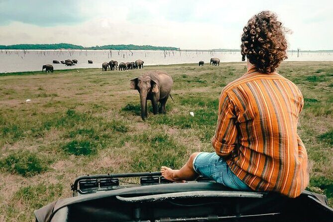 Day Excursions To Yala National Park Jeep Safari Form Galle - An In-Depth Look at the Yala National Park Safari