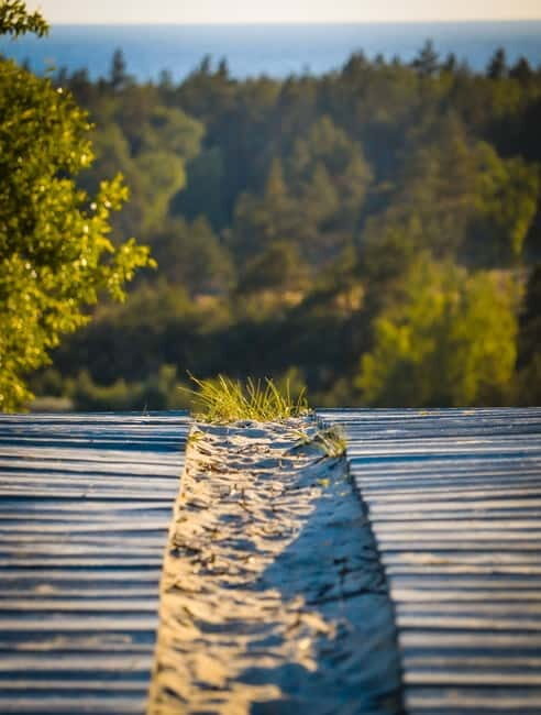 Day Group Tour: Curonian spit (Neringa) from Klaipeda DFDS - Final Thoughts