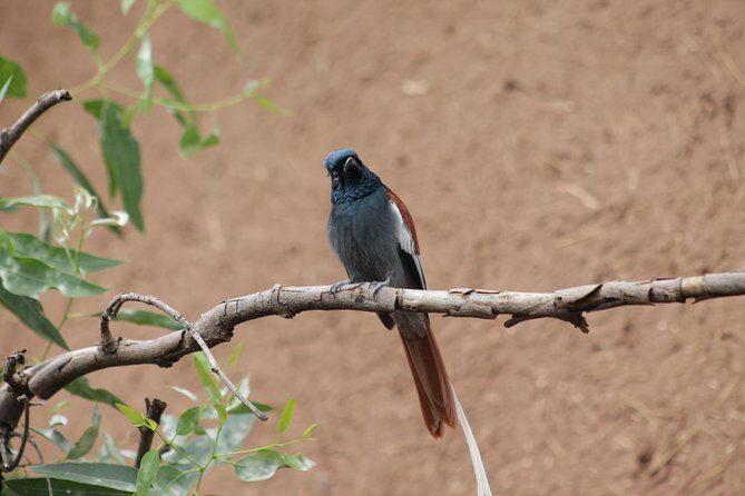 Day Hike Around Lalibela - Who Would Love This Tour?