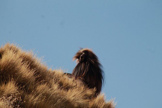 Day Hike Around Lalibela - FAQ