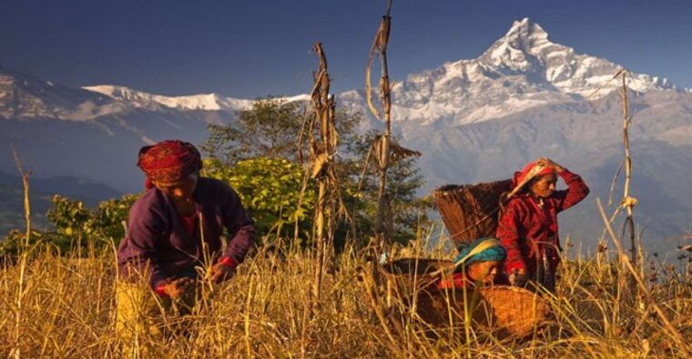 day-hike-at-annapurna-foothills