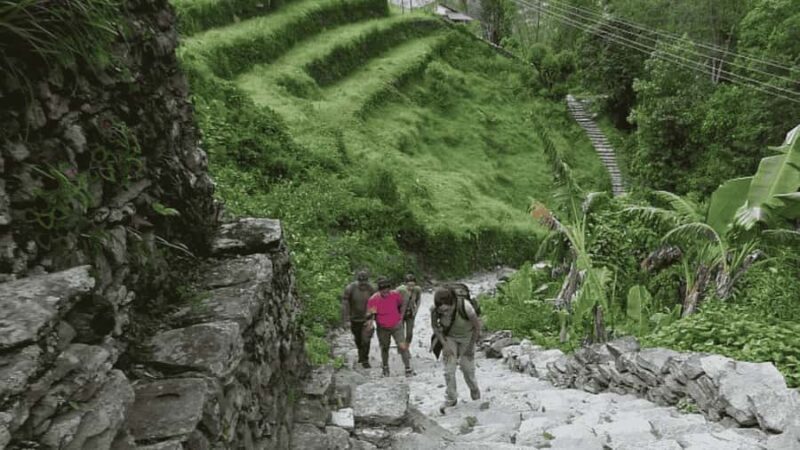 Day Hike from Dhampus to Australian Camp with Lunch - An In-Depth Look at the Dhampus to Australian Camp Hike