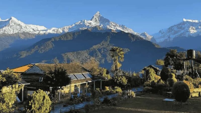 Day Hike from Dhampus to Australian Camp with Lunch - Practical Insights: What to Expect on Your Day Hike