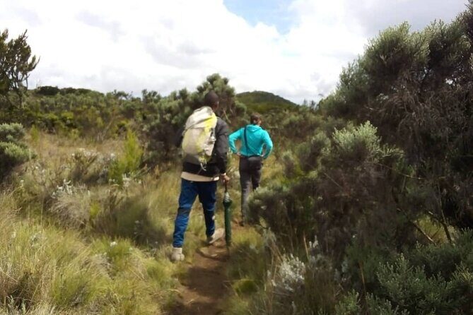 Day Hike to Mount Kilimanjaro, Local experience and Chagga Culture - A Close-Up on Mount Kilimanjaro: The Day Hike Experience