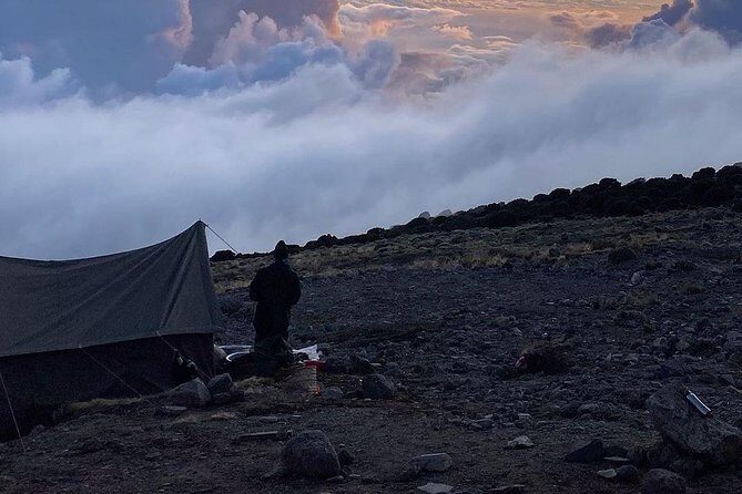 Day Hike to Mount Kilimanjaro (Mandara Hut) - What You Should Consider