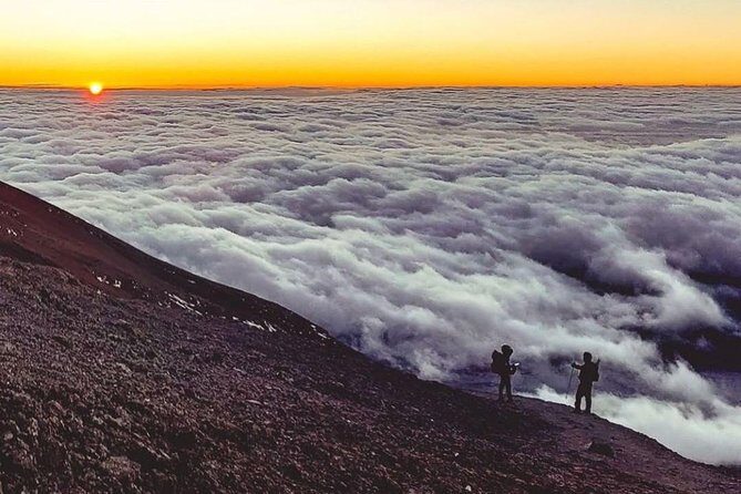 Day Hike to Mount Kilimanjaro (Mandara Hut) - Frequently Asked Questions