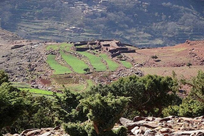 Day Hiking To Tawdja Summit in the Atlas Mountain - Why This Tour Offers Great Value