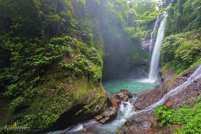 Day in Lovina - Introduction