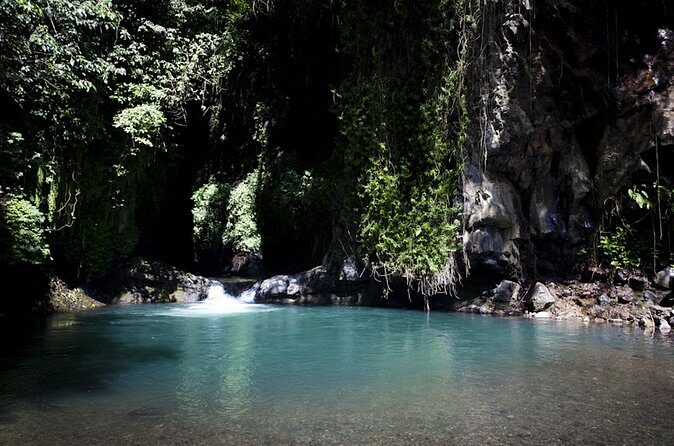 Day in Lovina - Who This Tour Suits Best