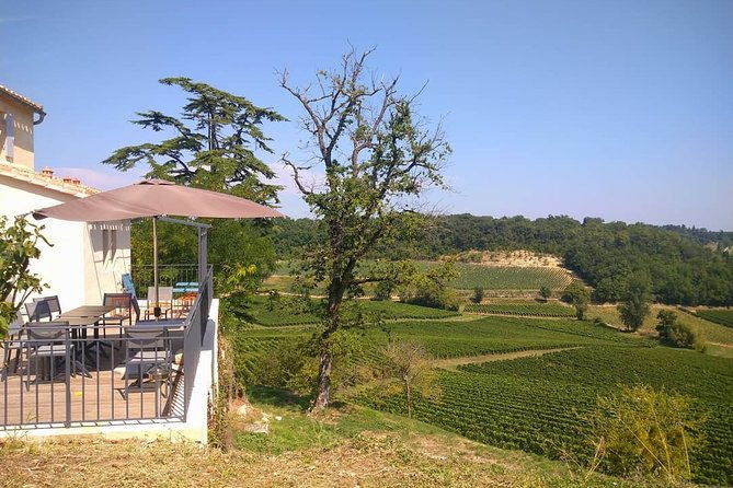 day-in-saint-emilion-medieval-village-and-wine-tasting