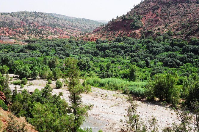Day in the Atlas Mountains with camel ride - Final Thoughts: Is This Tour Worth It?