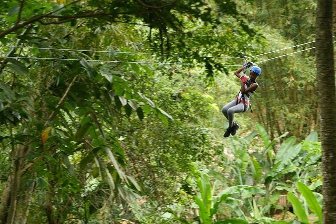 day-of-adventure-zipline-and-hike-or-bike