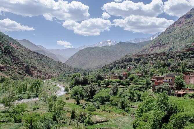 Day on The Ourika Valley from Marrakech - What Travelers Say
