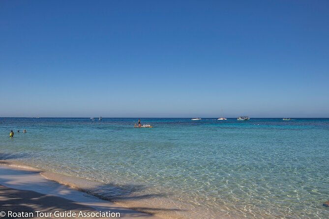 day-pass-paradise-beach-optional-gumbalimba-animal-sanctuary-and-or-zip-line