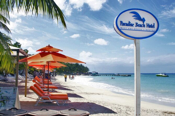 day-pass-paradise-beach-optional-gumbalimba-animal-sanctuary-and-or-zip-line