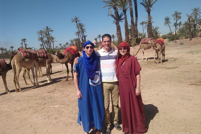 Day pool lunch and camel around Marrakech - The Sum Up