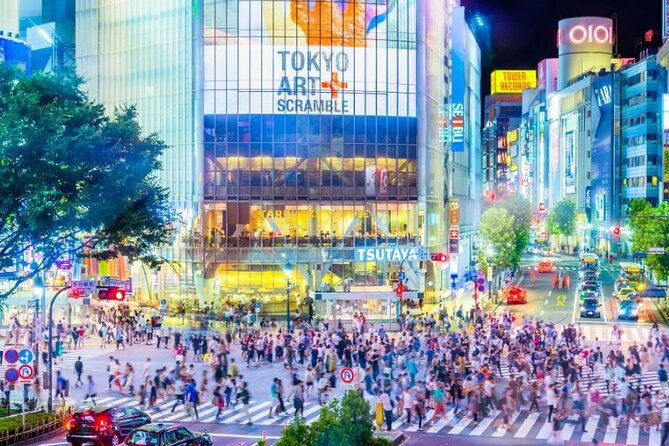 day-private-city-tour-of-tokyo-with-english-speaking-driver