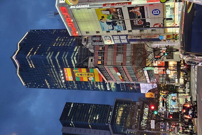 day-private-city-tour-of-tokyo-with-english-speaking-driver