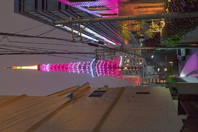 day-private-city-tour-of-tokyo-with-english-speaking-driver