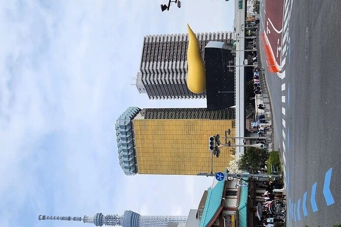 day-private-city-tour-of-tokyo-with-english-speaking-driver