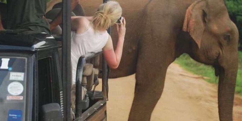 day-safari-from-hambantota
