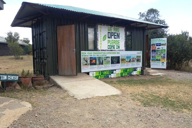 Day safari to Olpejeta Rhino conservancy - Who Should Consider This Tour?