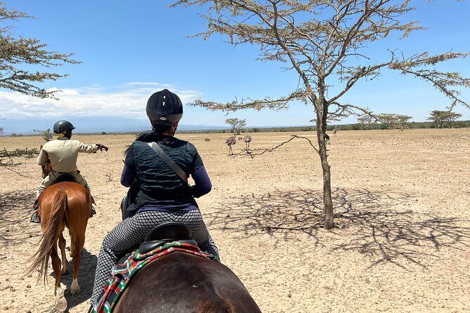 Day safari to Olpejeta Rhino conservancy - The Sum Up