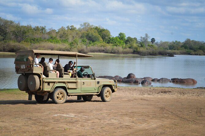 Day Safari Tour Selous Game Reserve - An Overview of the Selous Game Reserve