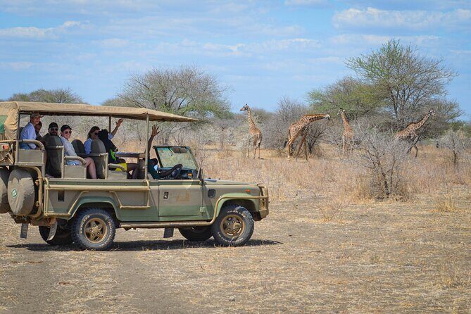 Day Safari Tour Selous Game Reserve - What’s Included and What’s Not