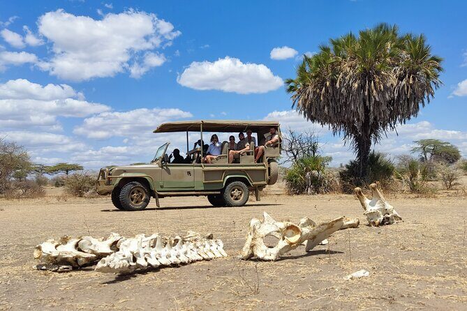 Day Safari Tour Selous Game Reserve - Authentic Experiences and Useful Tips