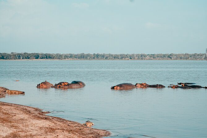 Day Safari Tour Selous Game Reserve - Frequently Asked Questions
