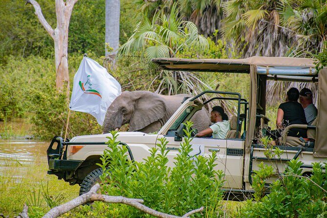 Day Safari Tour to Mikumi National Park - Final Words