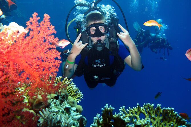 Day Sail to White Island and Ras Mohamed in Sharm El Sheikh - FAQs