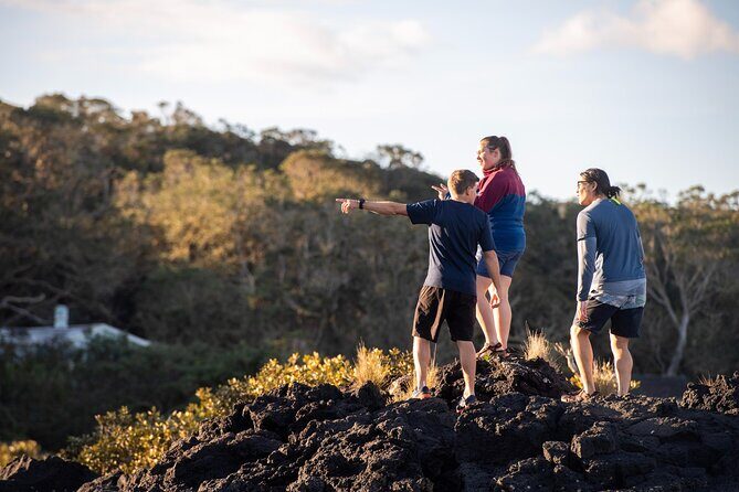 Day sea kayak tour Rangitoto Island - Diving into the Experience: What You Can Expect