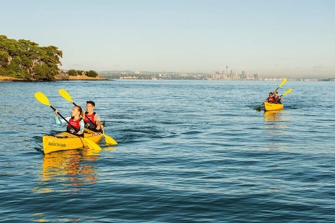 Day sea kayak tour Rangitoto Island - Who Will Love This Trip?