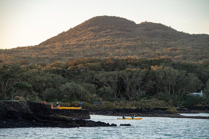 Day sea kayak tour Rangitoto Island - Final Thoughts: Why This Tour Is Worth Your Time