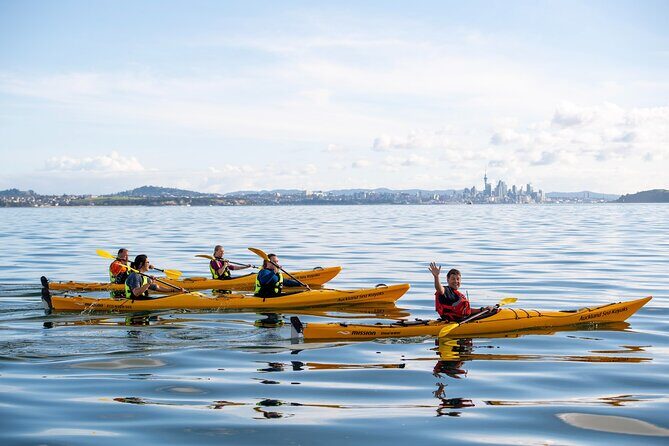 Day sea kayak tour Rangitoto Island - FAQs