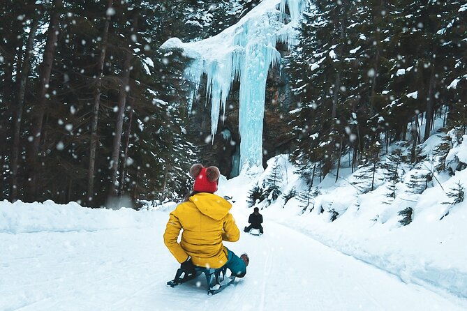 day-sledding-in-interlaken