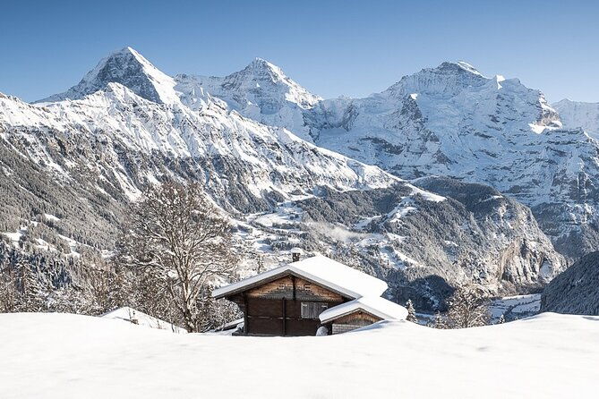 day-sledding-in-interlaken